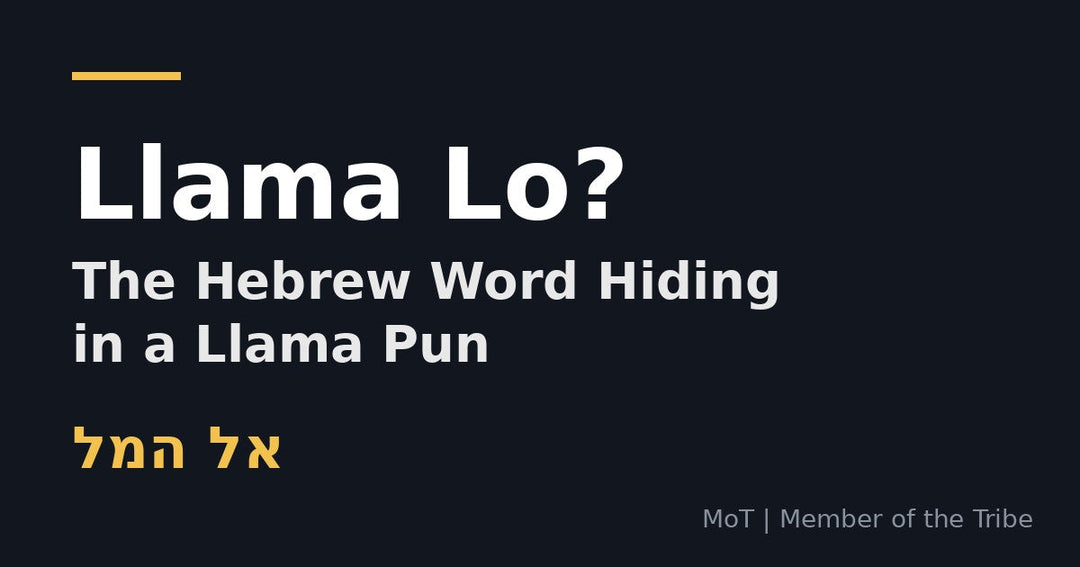 Llama Lo - the Hebrew word lama (why) hiding in a llama pun, with Hebrew lettering lama lo