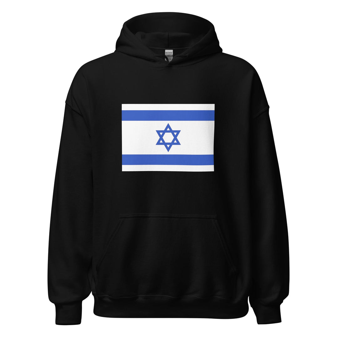 Heavy blend hoodie with Israel flag design