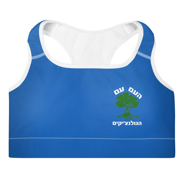 Padded Sports Bra | Golani Blue