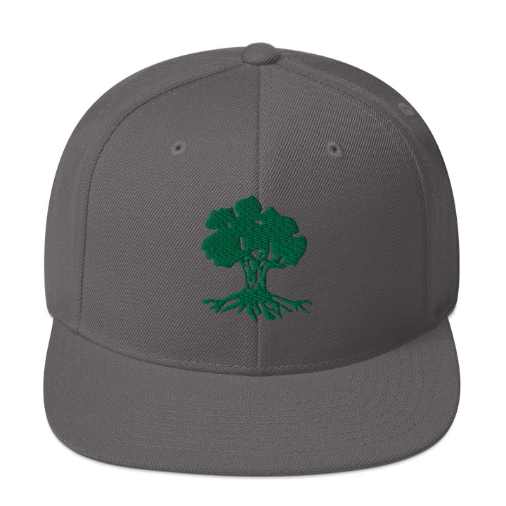 Classic Snapback Hat | Golani