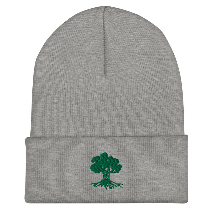 Cuffed Beanie | Golani