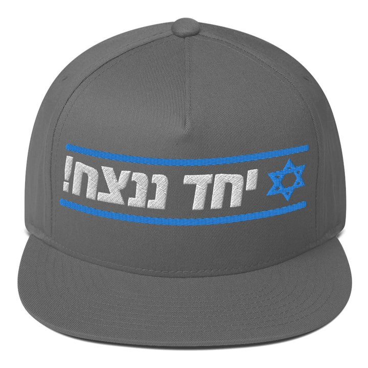 Flat Bill Cap | Together We Will Win | יחד ננצח