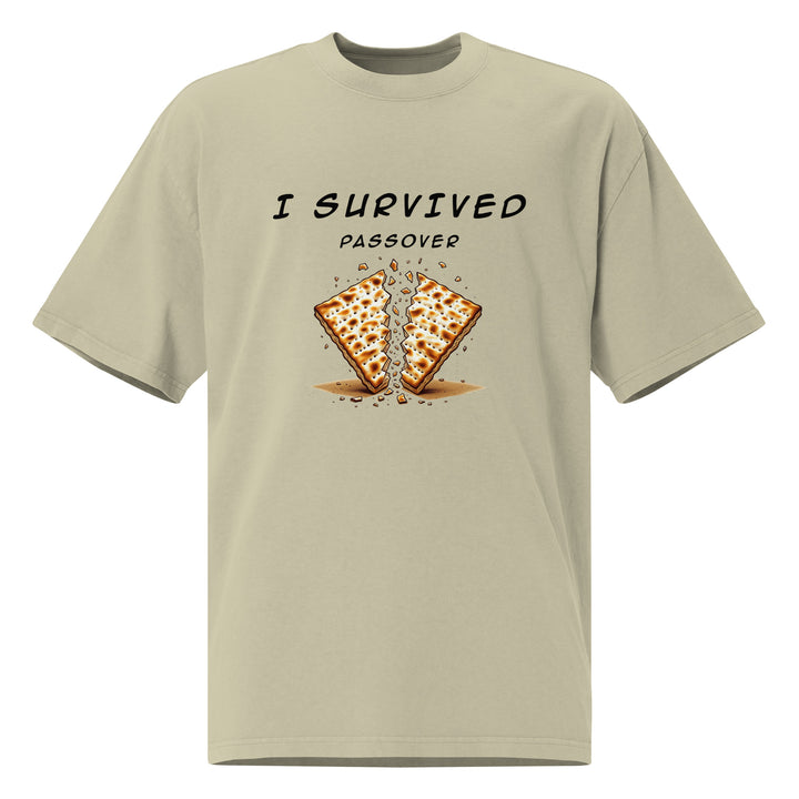 Passover Jewish pride t-shirt in Faded Eucalyptus - back view