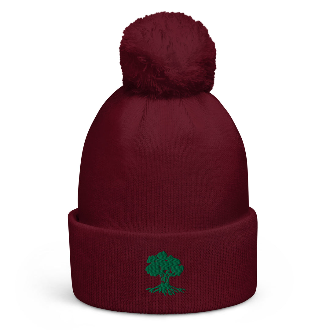 Pom Pom Beanie | Golani