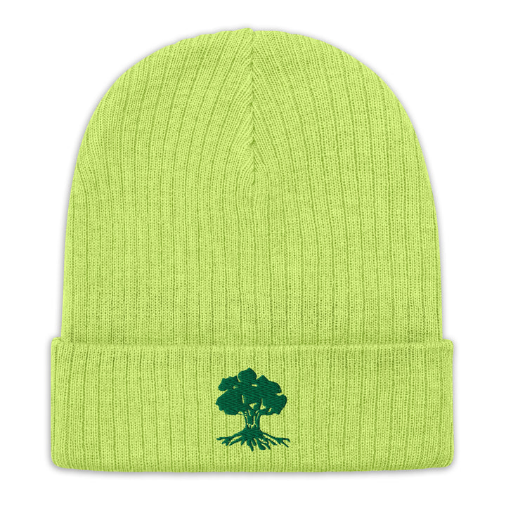 Ribbed Knit Beanie | Golani