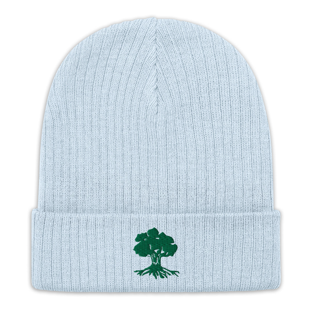Ribbed Knit Beanie | Golani