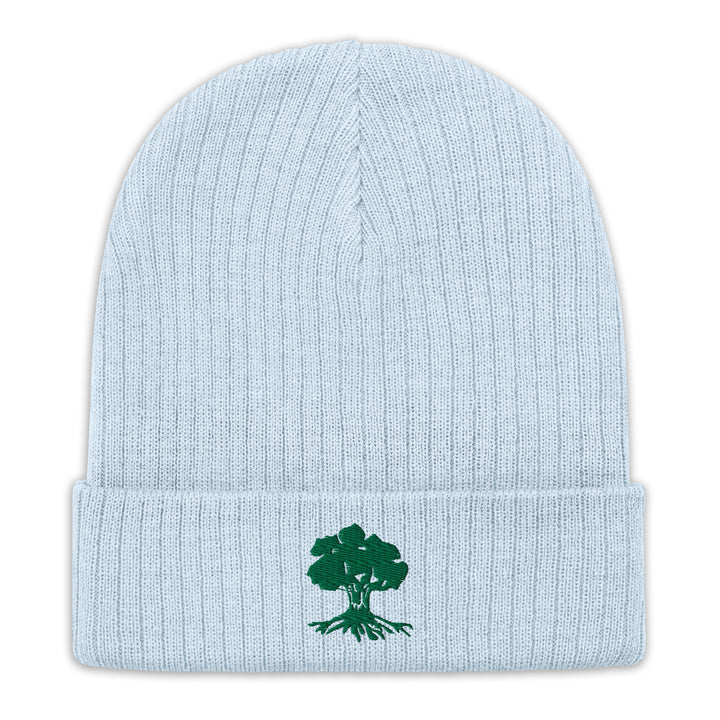 Ribbed Knit Beanie | Golani
