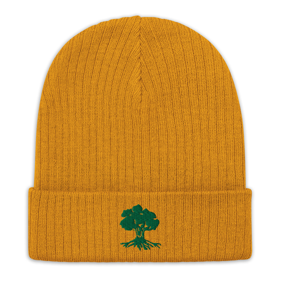 Ribbed Knit Beanie | Golani