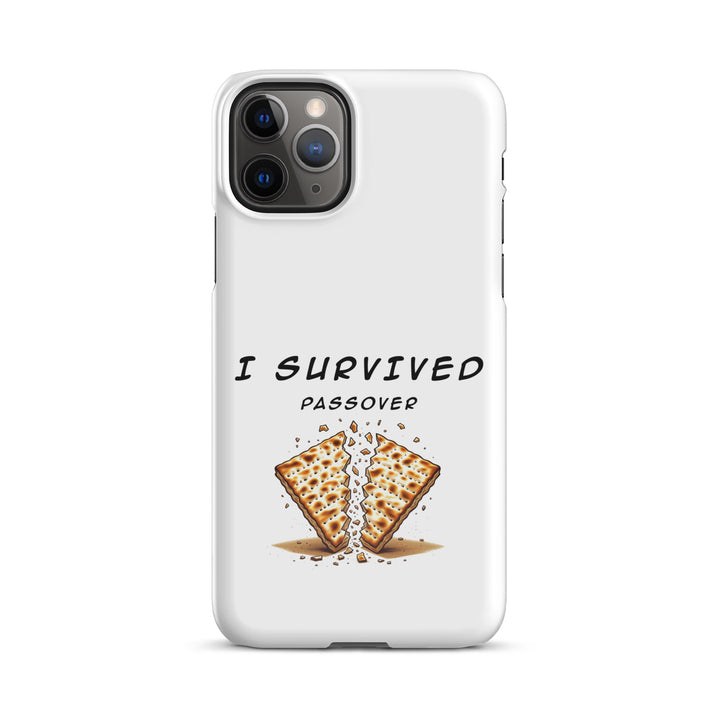 Passover Jewish pride snap phone case for iPhone 11 Pro, glossy finish - front view