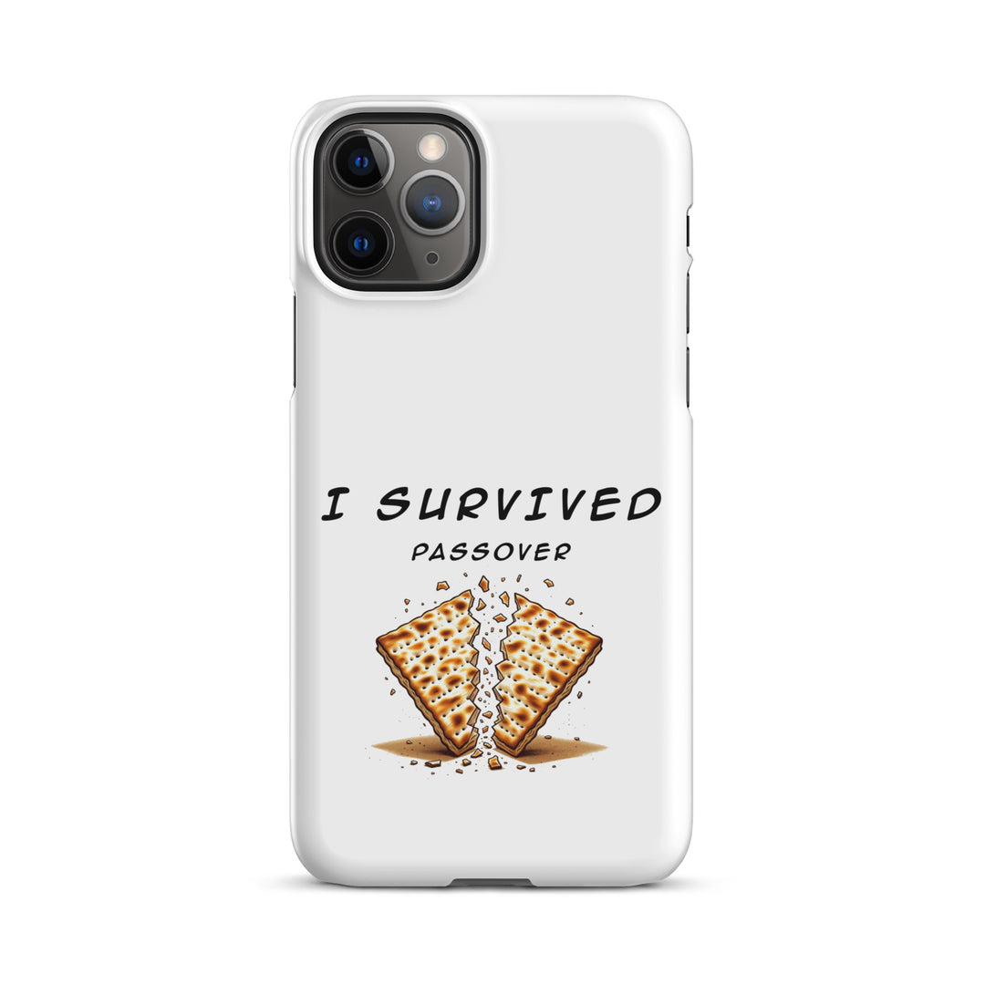 Passover Jewish pride snap phone case for iPhone 11 Pro, matte finish - front view
