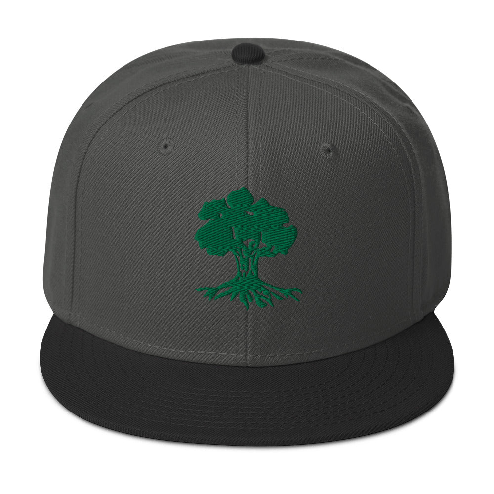 Snapback Hat | Golani