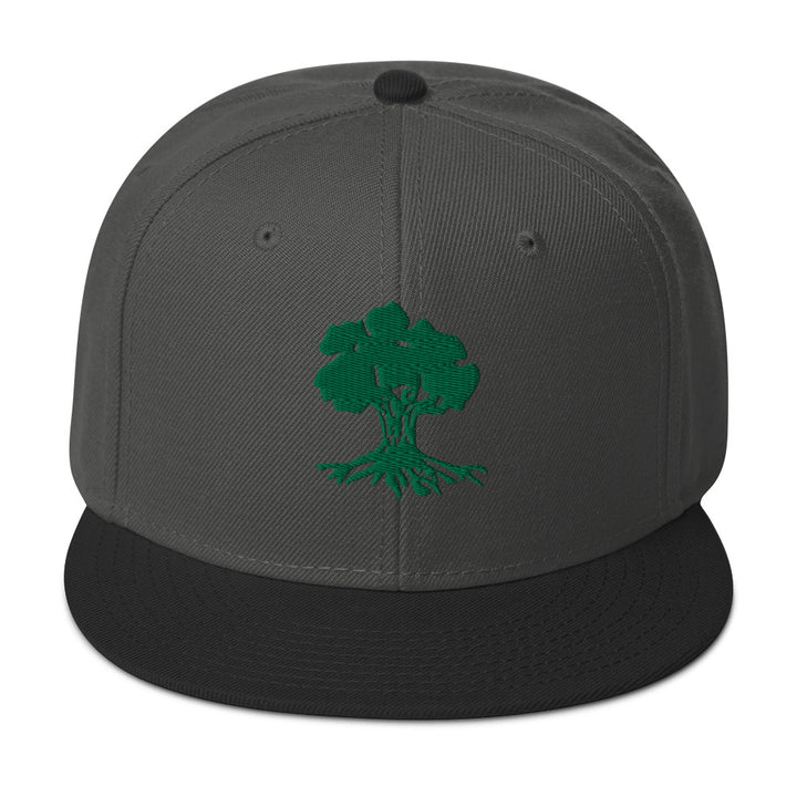Snapback Hat | Golani