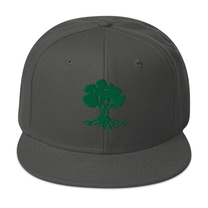 Snapback Hat | Golani