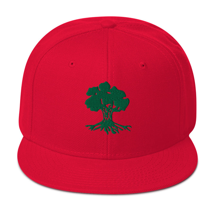 Snapback Hat | Golani