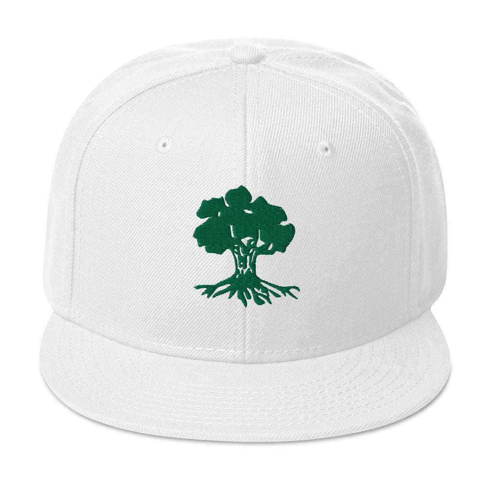 Snapback Hat | Golani