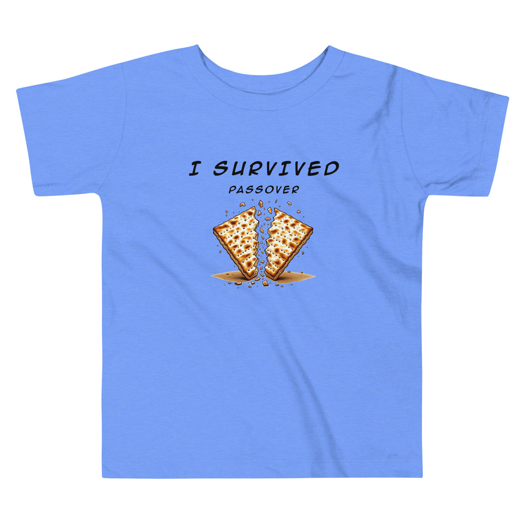 Passover Jewish pride kids short sleeve tee in Heather Columbia Blue - front view