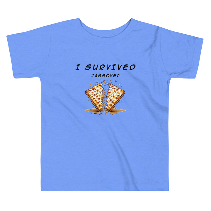 Passover Jewish pride kids short sleeve tee in Heather Columbia Blue - front view