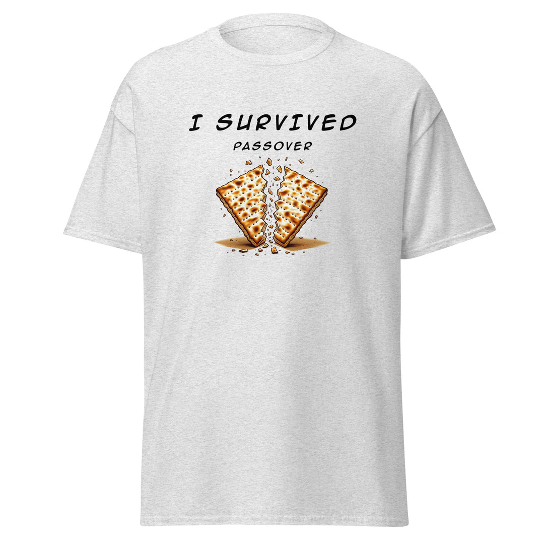Passover Jewish pride tee in Ash - side view