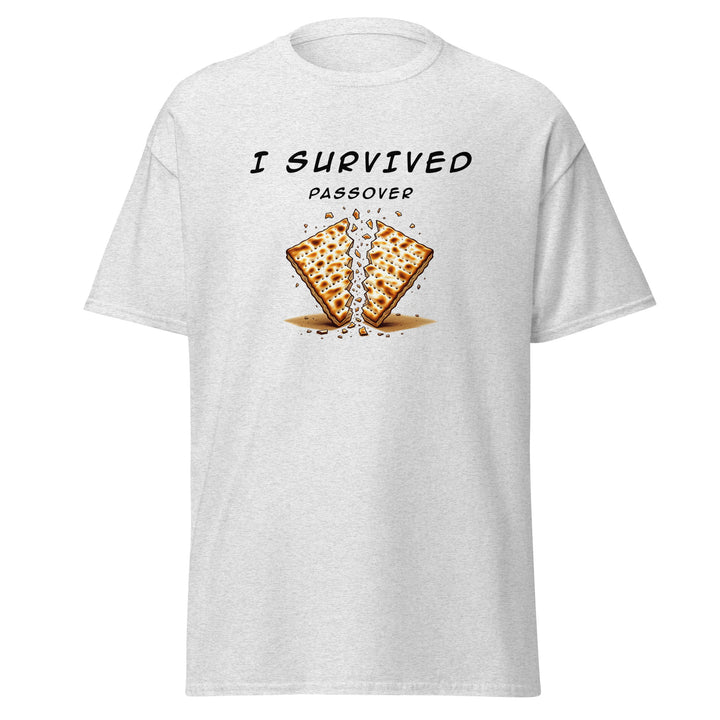 Passover Jewish pride tee in Ash - side view