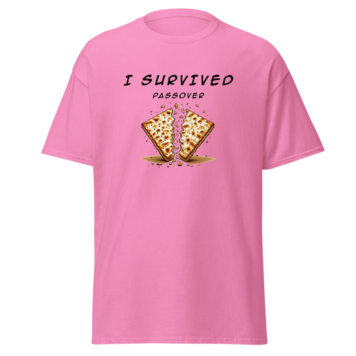 Passover Jewish pride tee in Azalea - back view
