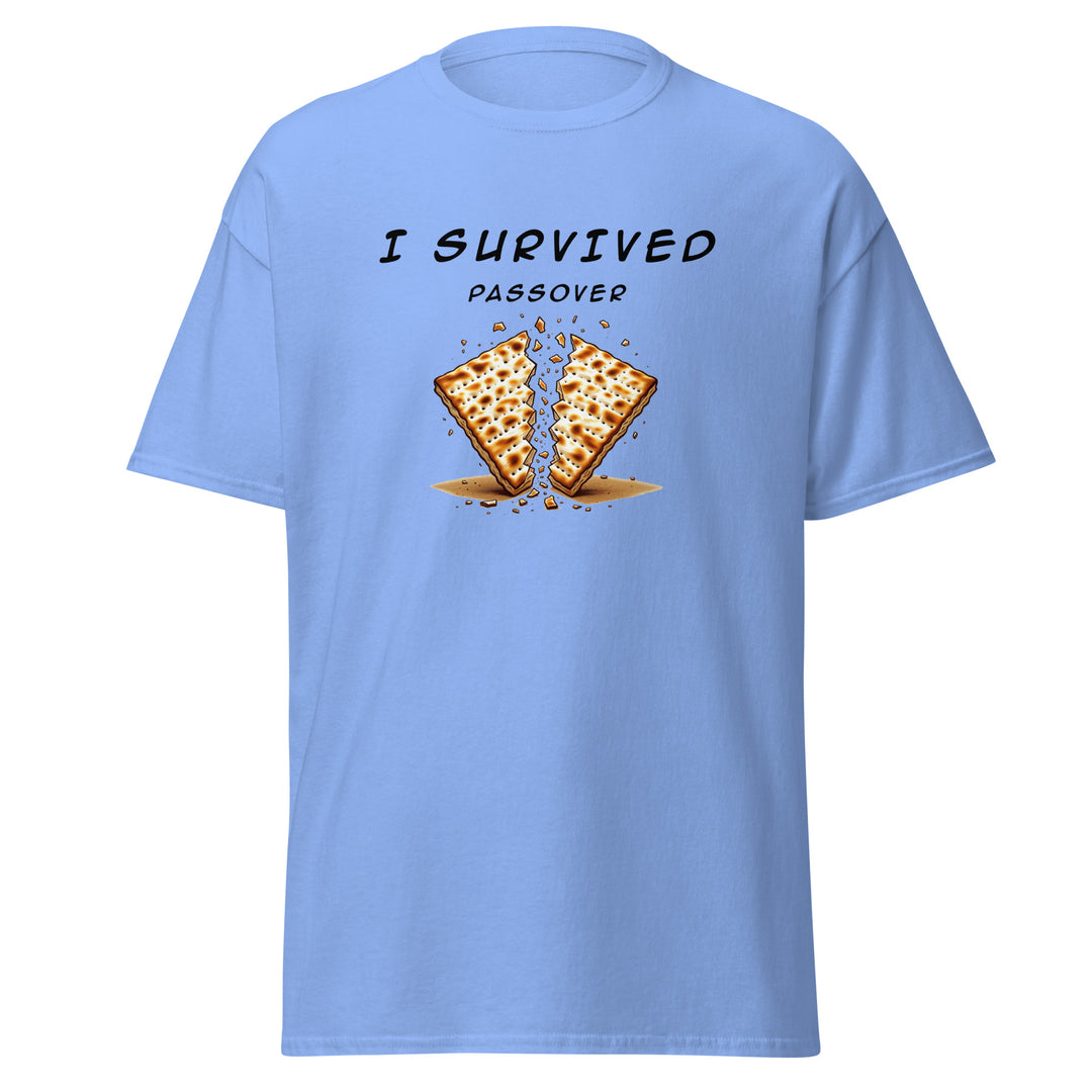 Passover Jewish pride tee in Carolina Blue - detail view