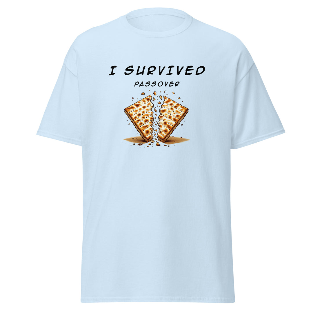 Passover Jewish pride tee in Light Blue - lifestyle shot