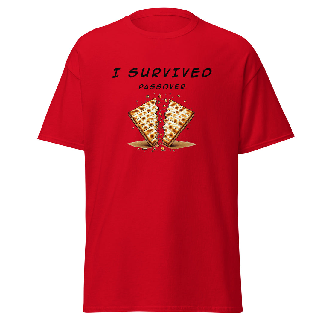 Passover Jewish pride tee in Red - detail view