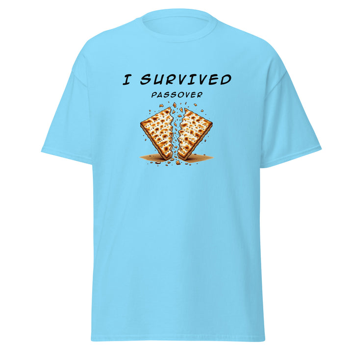 Passover Jewish pride tee in Sky - folded view