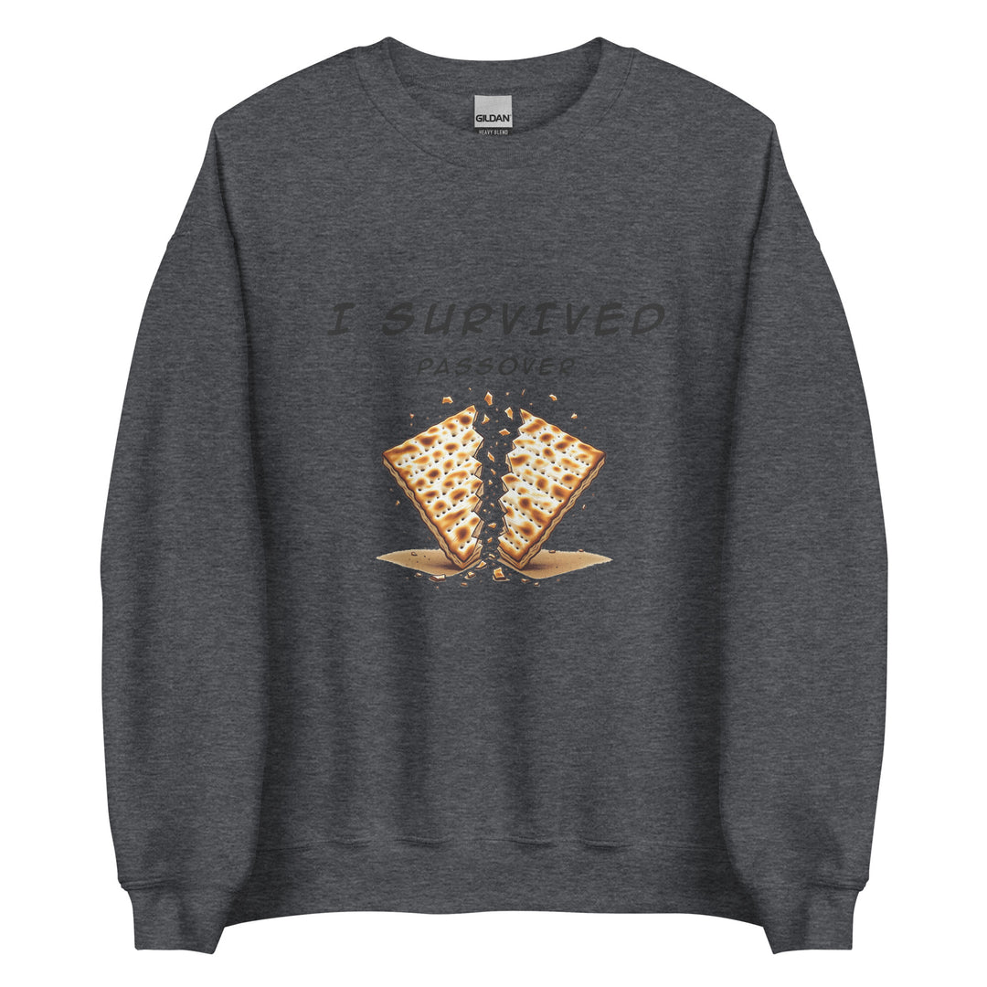 Passover Jewish pride sweatshirt in Dark Heather - front view