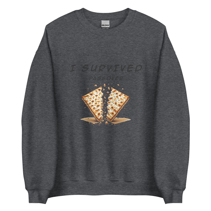 Passover Jewish pride sweatshirt in Dark Heather - front view