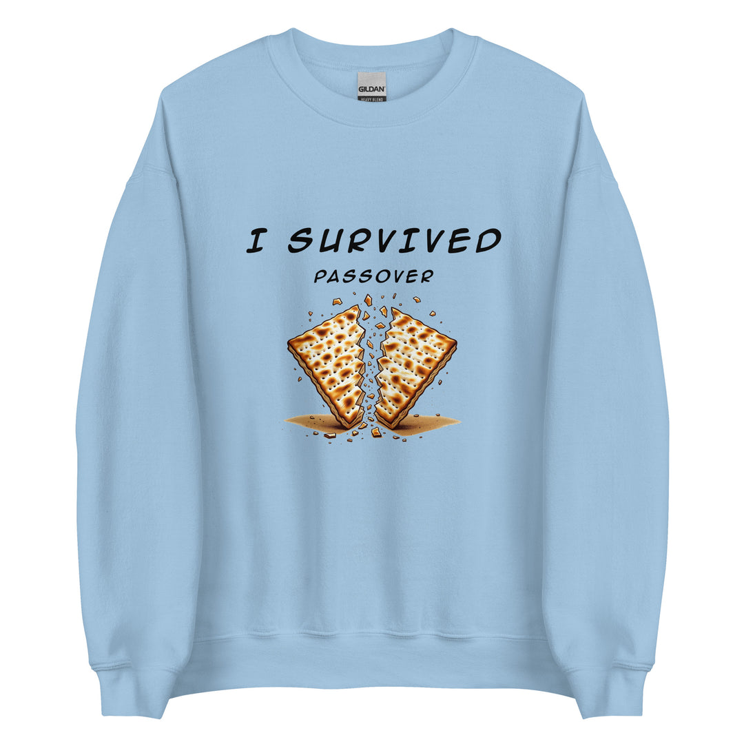Passover Jewish pride sweatshirt in Light Blue - side view