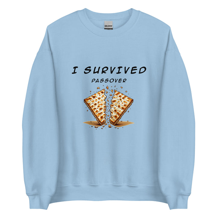 Passover Jewish pride sweatshirt in Light Blue - side view