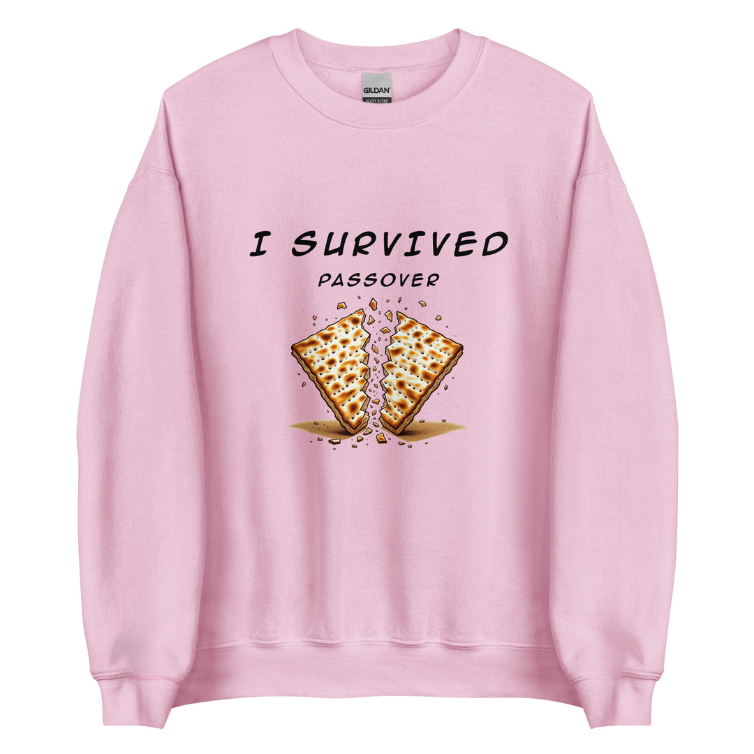 Passover Jewish pride sweatshirt in Light Pink - folded view