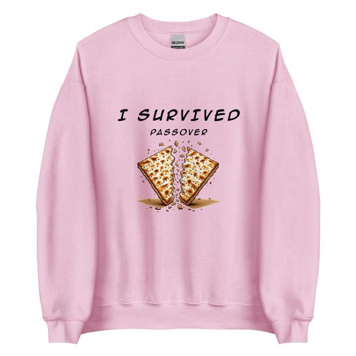 Passover Jewish pride sweatshirt in Light Pink - folded view