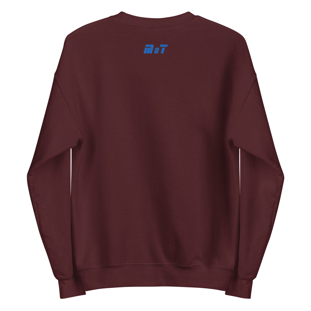 Sweatshirt | Israel Flag
