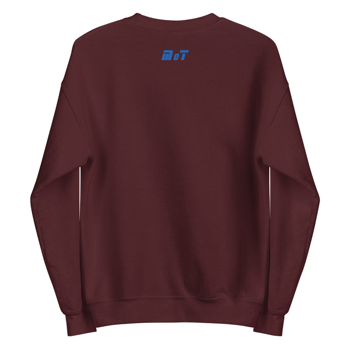Sweatshirt | Israel Flag