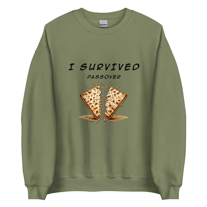 Passover Jewish pride sweatshirt in Military Green - back view