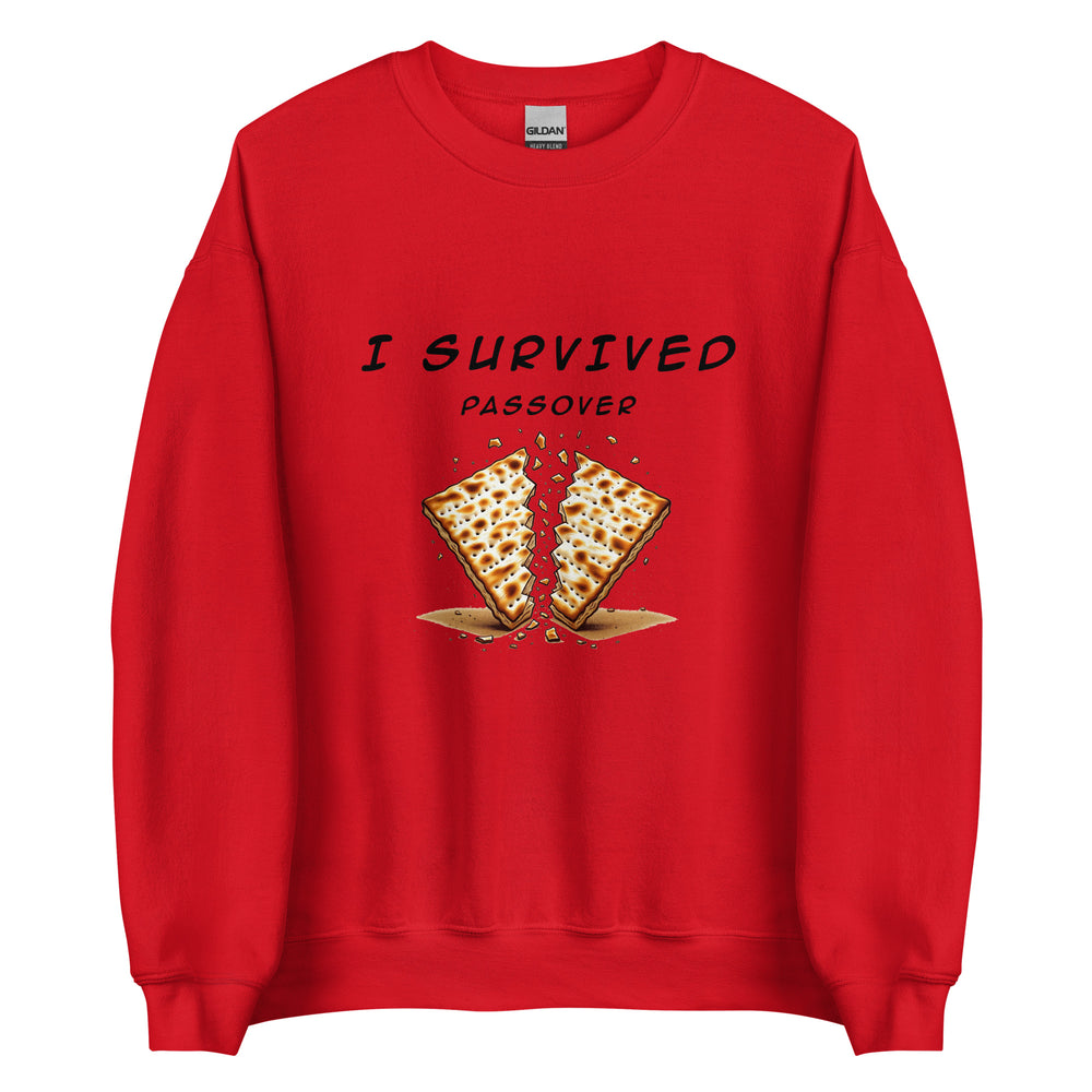 Passover Jewish pride sweatshirt in Red - close-up