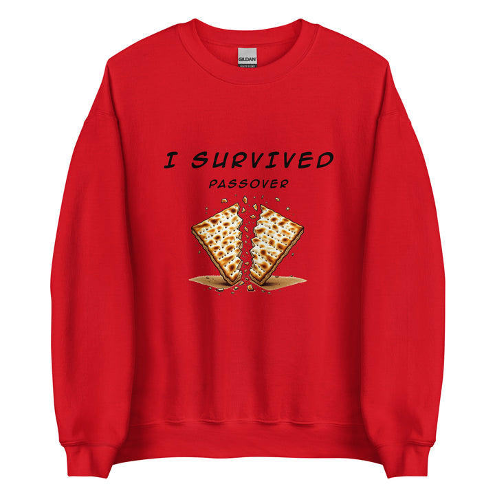 Passover Jewish pride sweatshirt in Red - close-up