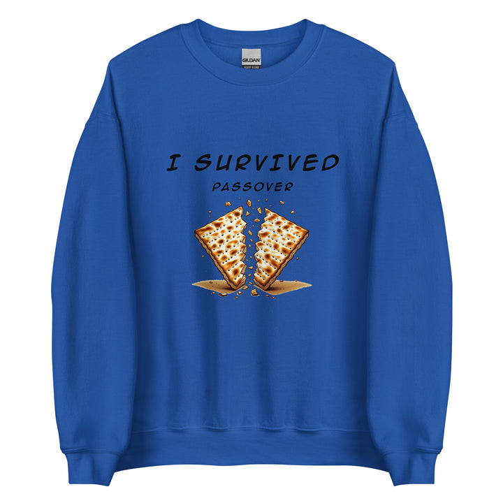 Passover Jewish pride sweatshirt in Royal - detail view