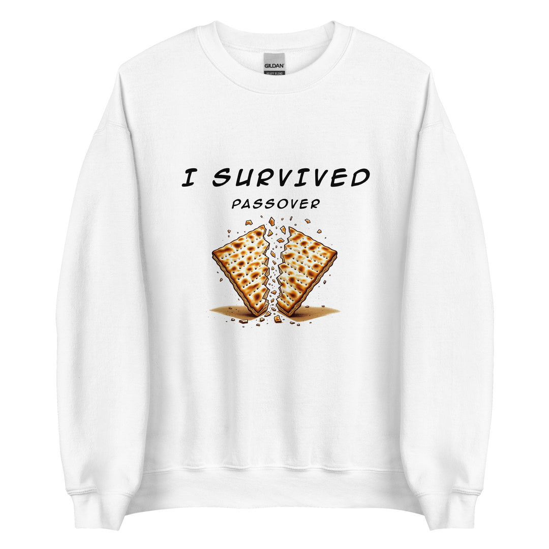 Passover Jewish pride sweatshirt in White - detail view