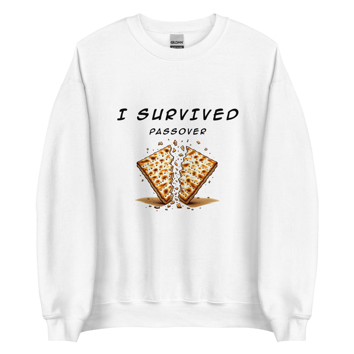 Passover Jewish pride sweatshirt in White - detail view