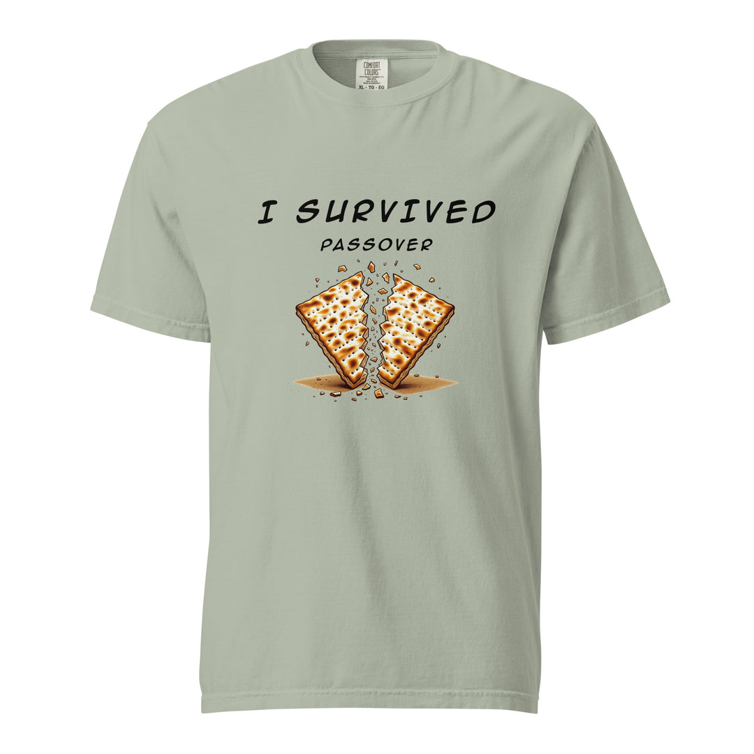 Passover Jewish pride t-shirt in Bay - folded view