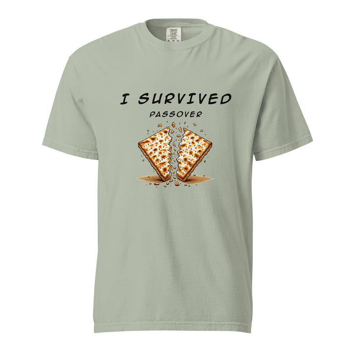 Passover Jewish pride t-shirt in Bay - folded view