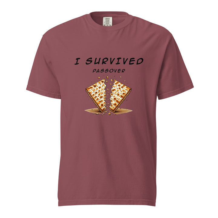 Passover Jewish pride t-shirt in Brick - close-up