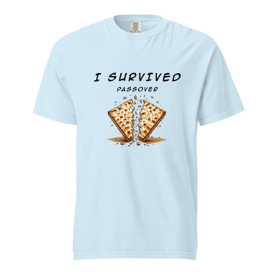 Passover Jewish pride t-shirt in Chambray - detail view