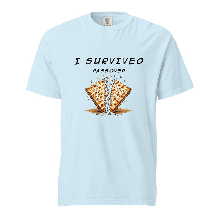 Passover Jewish pride t-shirt in Chambray - detail view