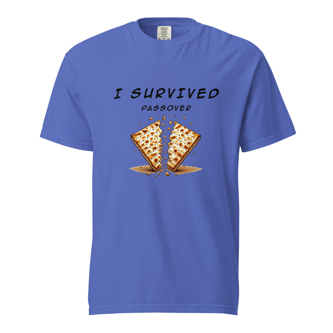 Passover Jewish pride t-shirt in Flo Blue - lifestyle shot