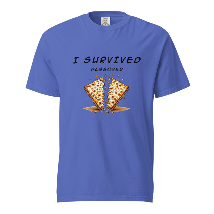 Passover Jewish pride t-shirt in Flo Blue - lifestyle shot