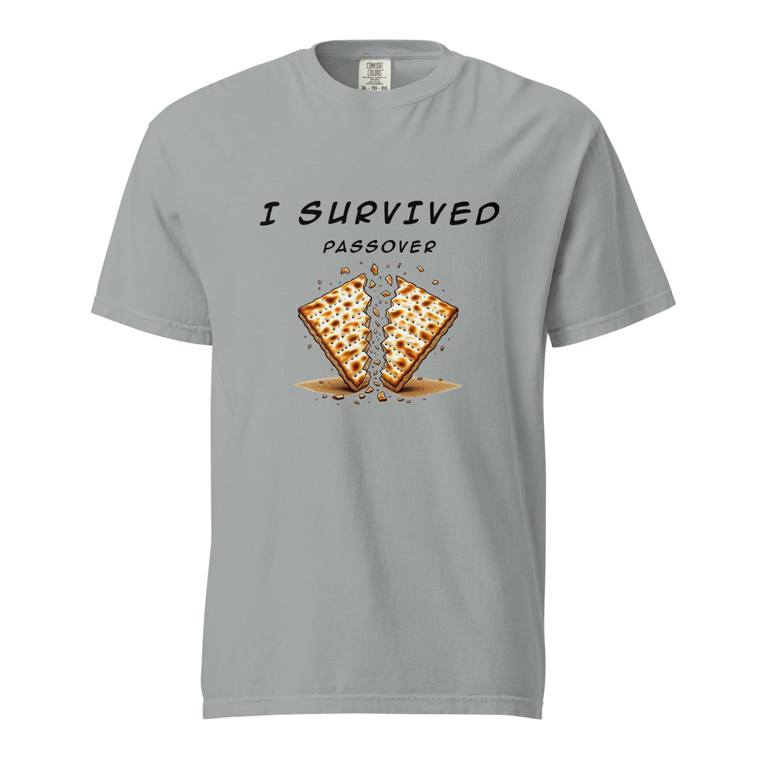 Passover Jewish pride t-shirt in Granite - close-up